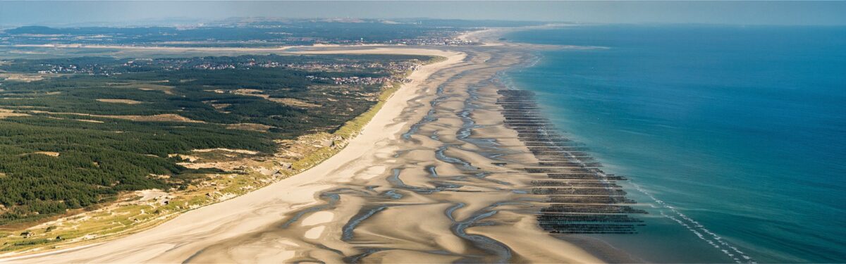 Nos terrains