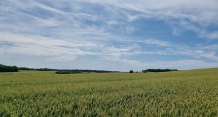 Saint-Fuscien Maison neuve - 2331488-11571annonce120251107nhM3y.jpeg Maisons Les Naturelles