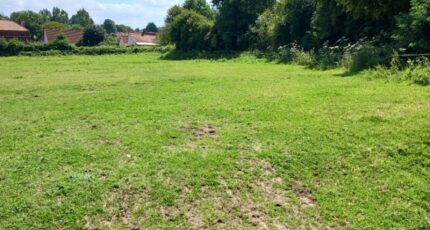 Escœuilles Terrain à bâtir - 2271628-11072annonce120250915AkJlP.jpeg Maisons Les Naturelles