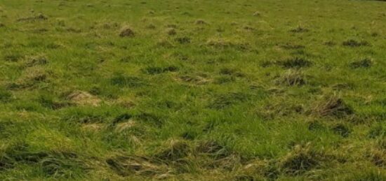 Maison neuve à , Pas-de-Calais