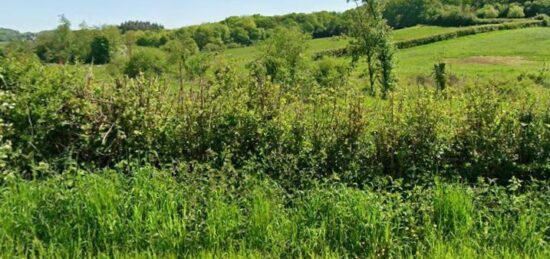 Maison neuve à , Pas-de-Calais