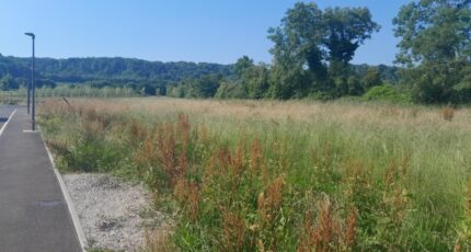 Menneville Maison neuve - 2271646-11072annonce220250915X1SUF.jpeg Maisons Les Naturelles