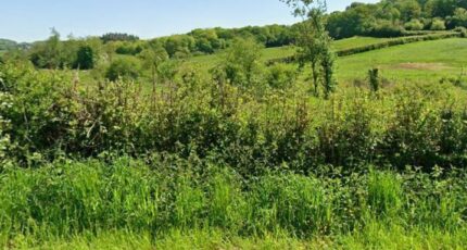 Henneveux Maison neuve - 2301395-11072annonce120251010zl1CO.jpeg Maisons Les Naturelles