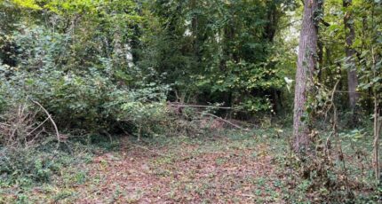 Caours Maison neuve - 2317590-5042annonce320251024uQl5q.jpeg Maisons Les Naturelles