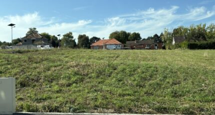 Ailly-sur-Somme Maison neuve - 2279127-11571annonce120250922hnIGF.jpeg Maisons Les Naturelles