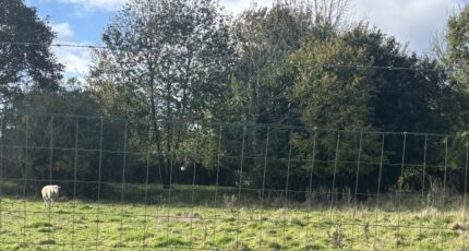 Ivergny Maison neuve - 2318933-11571annonce120251027FASm8.jpeg Maisons Les Naturelles