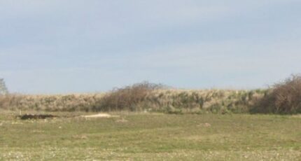 Rang-du-Fliers Maison neuve - 2303899-11072annonce1202510138iLMH.jpeg Maisons Les Naturelles