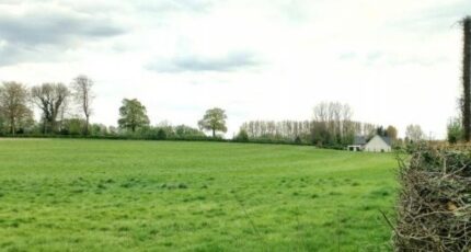 Ruisseauville Maison neuve - 2314879-11571annonce120251023FU3G0.jpeg Maisons Les Naturelles