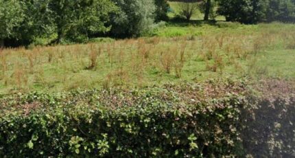 Longfossé Maison neuve - 2301410-11072annonce120251010T3TsS.jpeg Maisons Les Naturelles