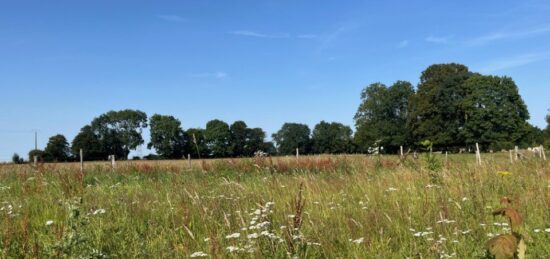 Terrain à bâtir à , Somme