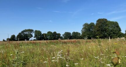 Vismes Maison neuve - 2392286-5042annonce2202601142BksU.jpeg Maisons Les Naturelles