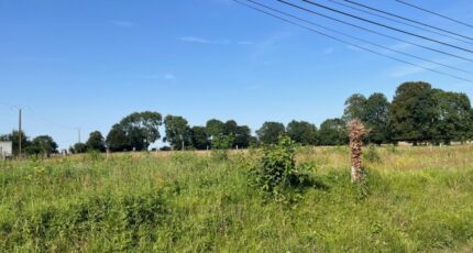 Vismes Maison neuve - 2392280-5042annonce1202601145T7wE.jpeg Maisons Les Naturelles