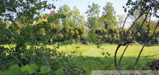 Terrain à bâtir à Douriez, Hauts-de-France