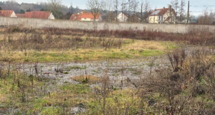 Hesdigneul-lès-Boulogne Maison neuve - 2399433-11072annonce120260120iAAoh.jpeg Maisons Les Naturelles