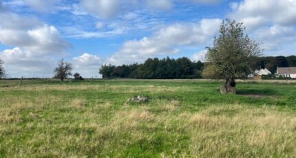 Saint-Valery-sur-Somme Maison neuve - 2406688-5042annonce320250930gLq2V.jpeg Maisons Les Naturelles