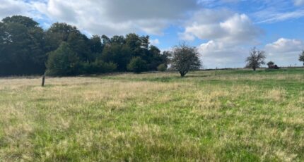 Saint-Valery-sur-Somme Maison neuve - 2406700-5042annonce220250930JrQrU.jpeg Maisons Les Naturelles