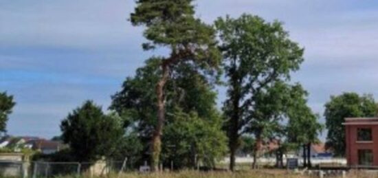 Terrain à bâtir à Rang-du-Fliers, Hauts-de-France