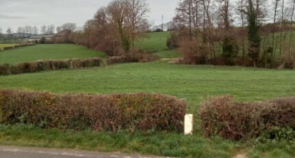 Tingry Maison neuve - 2419778-11072annonce22026020201O84.jpeg Maisons Les Naturelles