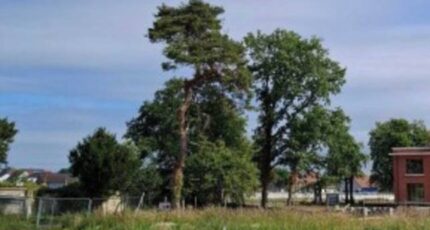 Rang-du-Fliers Maison neuve - 2419926-11072annonce120260205Xwswe.jpeg Maisons Les Naturelles