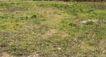 La Capelle-lès-Boulogne Terrain à bâtir - 2421414-11072annonce120260206pdedt.jpeg Maisons Les Naturelles