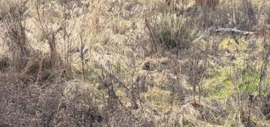 Terrain à bâtir à , Pas-de-Calais