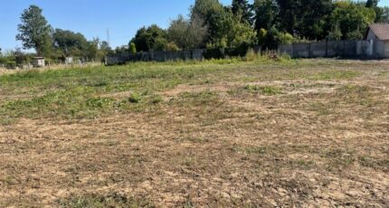 Domvast Maison neuve - 2385622-5042annonce120260108HliC2.jpeg Maisons Les Naturelles