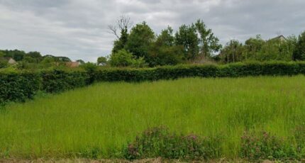 Équihen-Plage Maison neuve - 2393615-11072annonce220260311T5U7w.jpeg Maisons Les Naturelles