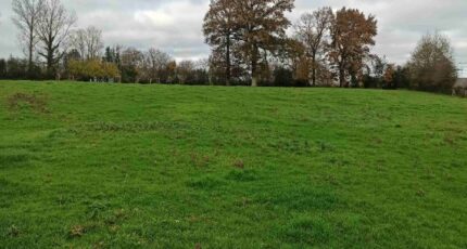 Campagne-lès-Boulonnais Terrain à bâtir - 2415358-11072annonce120260202evAV9.jpeg Maisons Les Naturelles