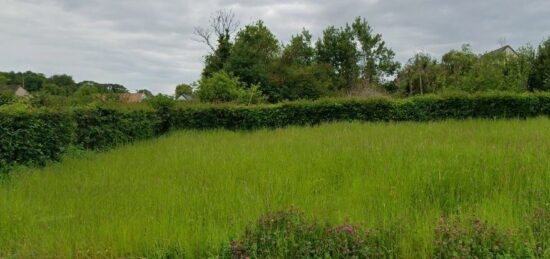 Terrain à bâtir à Caffiers, Hauts-de-France