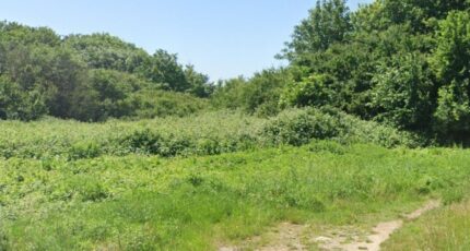 Saint-Étienne-au-Mont Terrain à bâtir - 2415370-11072annonce120260202sTlKT.jpeg Maisons Les Naturelles