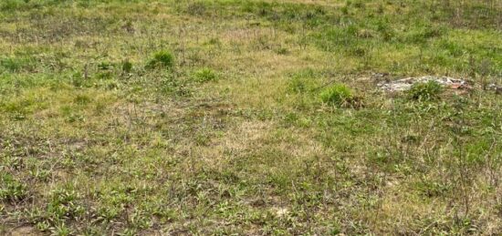 Terrain à bâtir à La Capelle-lès-Boulogne, Hauts-de-France