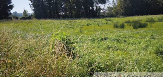 Terrain à bâtir à Frencq, Hauts-de-France