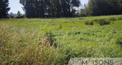 Frencq Maison neuve - 2445513-10209annonce120260302tG47K.jpeg Maisons Les Naturelles