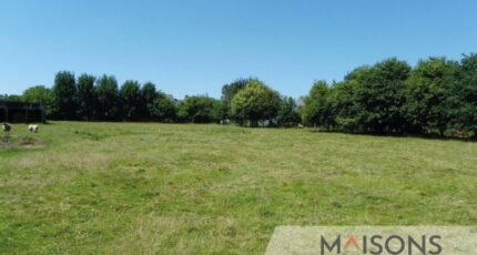 Saint-Josse Maison neuve - 2445541-10209annonce1202603022u7fS.jpeg Maisons Les Naturelles