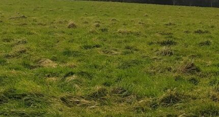 Saint-Martin-Boulogne Maison neuve - 2380447-11072annonce120260105sfLJt.jpeg Maisons Les Naturelles