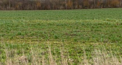 Doudeauville Terrain à bâtir - 2449633-11072annonce120260306hSU6g.jpeg Maisons Les Naturelles