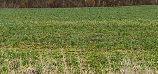 Terrain à bâtir à Doudeauville, Hauts-de-France