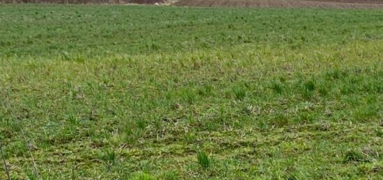 Terrain à bâtir à Frencq, Hauts-de-France