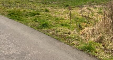 Hardinghen Maison neuve - 2449681-11072annonce120260306N6eq9.jpeg Maisons Les Naturelles