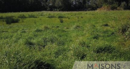 Buire-le-Sec Maison neuve - 2355511-10209annonce120251203KDcJk.jpeg Maisons Les Naturelles