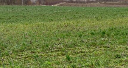 Frencq Maison neuve - 2453915-11072annonce120260306vcLx0.jpeg Maisons Les Naturelles