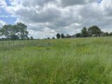 Terrain à bâtir à Sailly-Flibeaucourt (80970) 2598541-5042annonce120260807SLd50.jpeg Maisons Les Naturelles