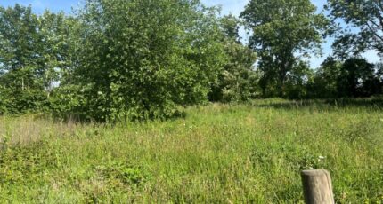 Lamotte-Buleux Maison neuve - 2598576-5042annonce220260807wzOPA.jpeg Maisons Les Naturelles