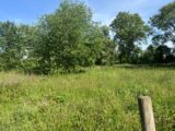 Maison à construire à Lamotte-Buleux (80150) 2598570-5042annonce220260807wzOPA.jpeg Maisons Les Naturelles