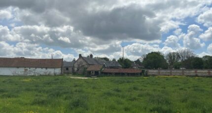 Forest-l'Abbaye Maison neuve - 2598553-5042annonce120260807gvrbN.jpeg Maisons Les Naturelles