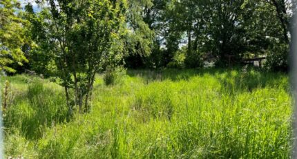 Cambron Maison neuve - 2632760-5042annonce12026051372Mu2.jpeg Maisons Les Naturelles