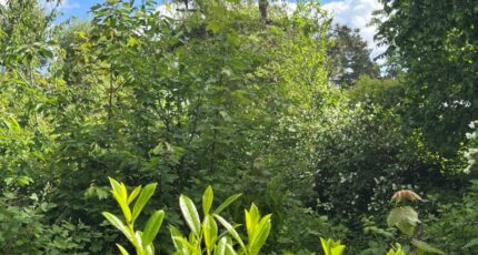 Abbeville Maison neuve - 2632794-5042annonce120260512m1Gsk.jpeg Maisons Les Naturelles