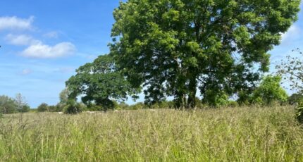 Pendé Maison neuve - 2633135-5042annonce120260914aTo9r.jpeg Maisons Les Naturelles