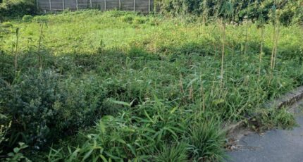 Rue Maison neuve - 2636449-11934annonce220260916WJW2y.jpeg Maisons Les Naturelles