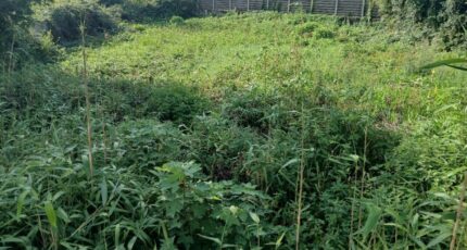 Rue Maison neuve - 2639636-11934annonce120260916Vhz5W.jpeg Maisons Les Naturelles